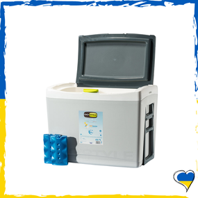 Термобокс GioStyle Shiver 42 + ICEPACKS
