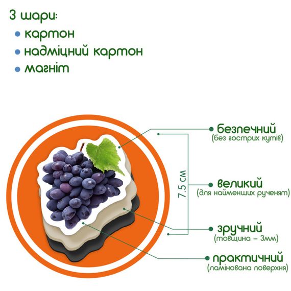 Набір магнітів Magdum "Фрукти і ягоди" ML4031-11 EN | Зображення 2