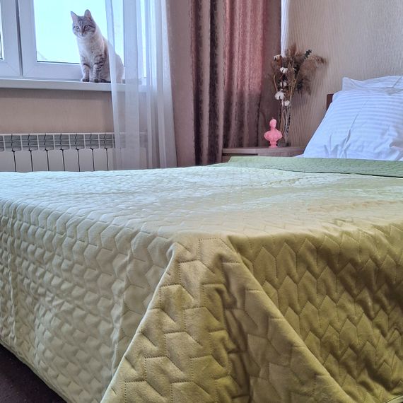 Покривало SoundSleep Tenderness велюрове стьобане 220х240 см олива (94396171) | Зображення 1