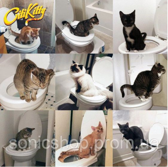 Набір для навчання кішок до унітаза Citi Kitty, Накладка на унітаз для котів, Система привчання кішок до унітаза | Зображення 5