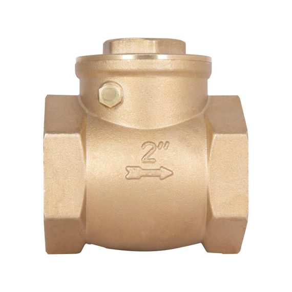 Зворотний клапан Thermo Alliance Standart 2" SD242W50 | Зображення 2