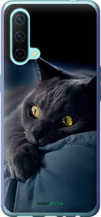 Чохол на OnePlus Nord CE Димчастий кіт "825u-2382-2448"