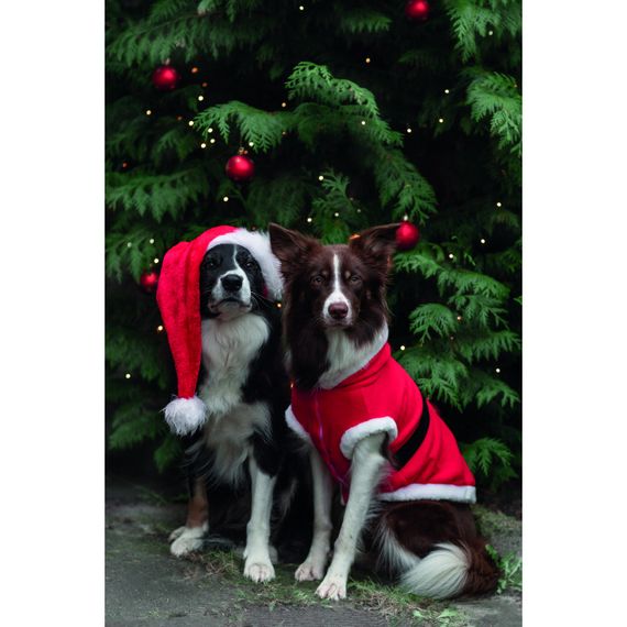 Попона Trixie для собак Санта червона M арт 925103 | Зображення 3