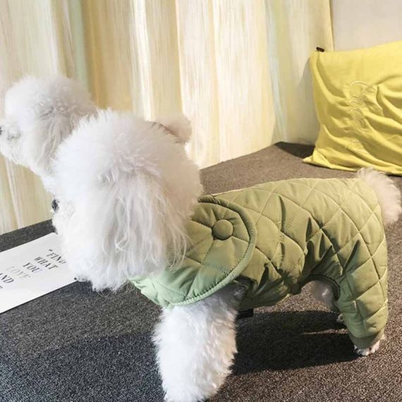 Зимний комбинезон для собак Cheepet "Кнопка" зеленый | Зображення 1