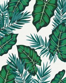 Тропіки № 4