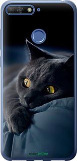 Чохол на Huawei Honor 7A Pro Димчастий кіт "825t-1440-2448"