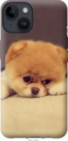 Чохол для Apple iPhone 14 з силікону FCh_037122