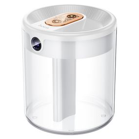 Увлажнитель воздуха Hoco HX31 Dual spray humidifier with digital display White