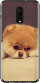 Чехол на OnePlus 6T Boo 2 "890u-1587-17620"