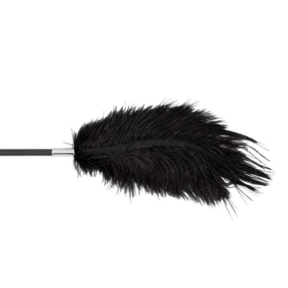 Стек - Fetish B-Series Tickler & Whip 1.0 Sex Aura | Зображення 1