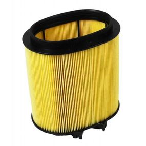 Воздушный фильтр для автомобиля Mann C1869