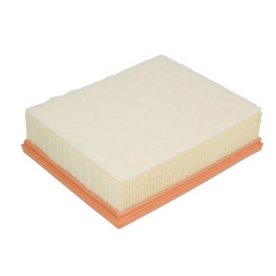 Воздушный фильтр для автомобиля Champion CAF100955P | Зображення 1