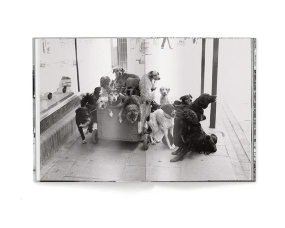 Работы известных фотографов книга Эллиотта Эрвитта с фотографиями собак Elliott Erwitt: Dogs (компактная) | Зображення 3
