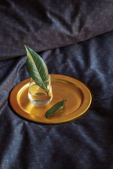 Комплект постільної білизни Issimo Digital Satin 300 TC 200х220 см Ralph | Зображення 3