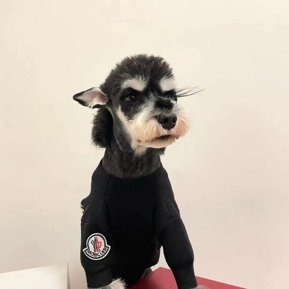 Брендовый свитер для собак MONCLER с надписью на спинке, черный | Зображення 4