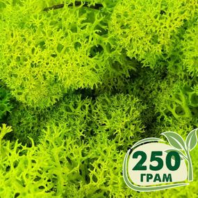 Стабілізований мох ягель Зелений весняний 250 грам