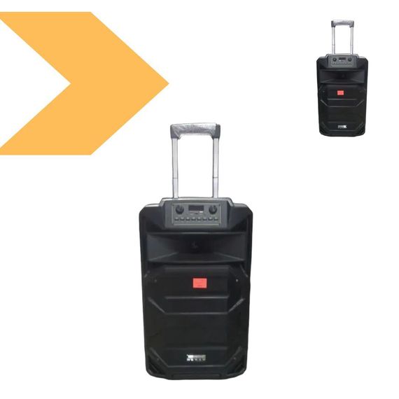 Динамік 15″ Потужний акустичний комплект XPRO Temeisheng SL 15-31T 240Вт з 2 мікрофонами (45718-_10798) | Зображення 1