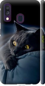 Чохол на Samsung Galaxy A40 2019 A405F Димчастий кіт "825m-1672-2448"