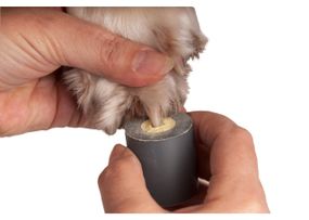 Холдер для  порошка Show Tech Stop Bleeding Holder