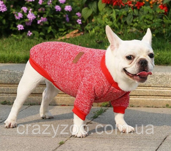 Кофта для собак та котів EcoToys Red M ряба червона A: 30 см B: 37 см C: 24 см 7106 | Зображення 2