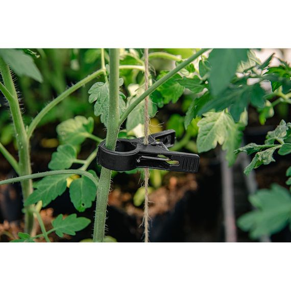 Затискачі для фіксації рослин Bradas 20 мм, 10 шт, BLACK (TYK20BK/10) | Зображення 2