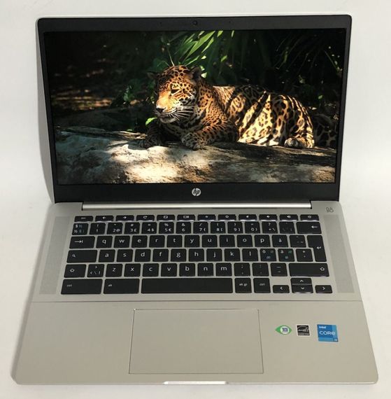 Ультрабук HP Pro c640 G2 Chromebook / 14" (1920x1080) IPS / Intel Core i3-1115G4 (2 (4) ядра по 2.2 - 4.1 GHz) / 8 GB DDR4 / 256 GB SSD / Intel UHD Graphics / WebCam / ChromeOS б/в + Подарунок Флеш-накопичувач Kingston DataTraveler Exodia S 64 ГБ | Зображення 1