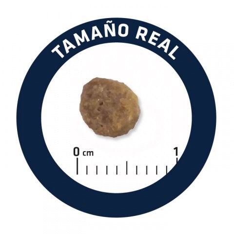 Advance Mother Dog & Initial сухий корм для собак, що годують, і першого прикорму, 3 кг | Зображення 5