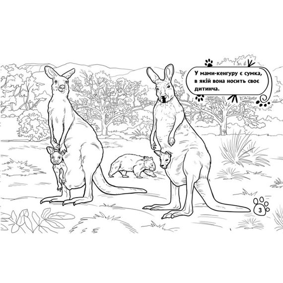 Детская раскраска "Животные в дальних краях" 583009, 16 страниц | Зображення 2