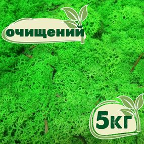 Очищений стабілізований мох ягель Зелений трав'яний світлий 5 кг