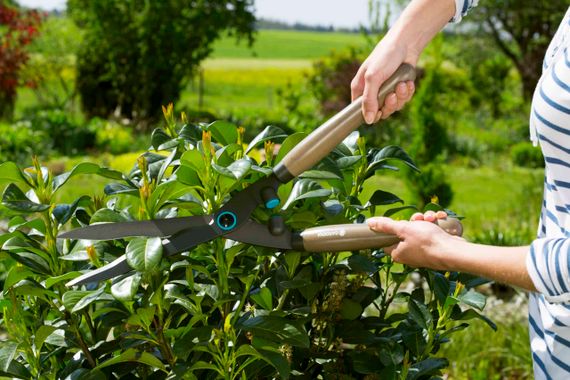 Ножиці для живоплоту Gardena NatureCut 12300-20 (53.5/23 см) | Зображення 1