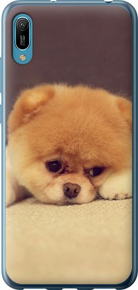 Чехол на Huawei Y6 2019 Boo 2 "890u-1666-17620"