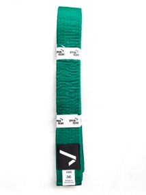 Зелений пояс IPPON GEAR серія CLUB 2 300см