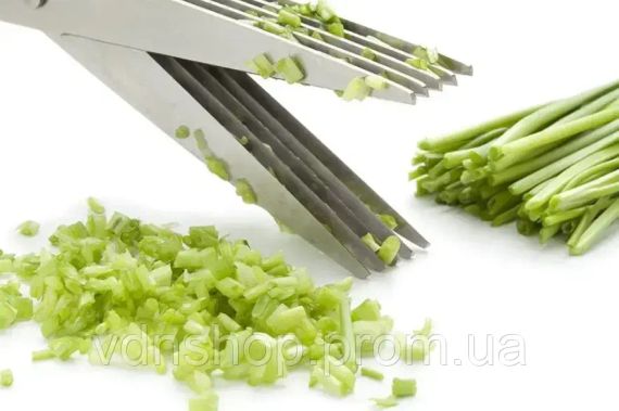 Ножиці для зелені Benson BN-919 (5 гострих лез) кухонні ножиці Бенсон + щітка для чищення, Бенсон | Зображення 5