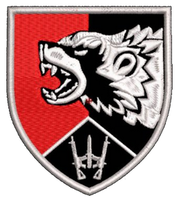 Шеврон 67 ОМБР