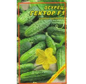 Насіння огірка Гектор F1 10 шт.