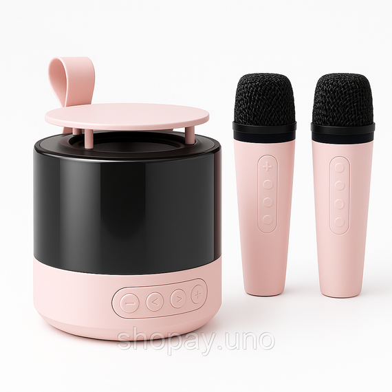 Портативная Bluetooth колонка K19 с подсветкой LED и двумя микрофонами для караоке Pink LI-49