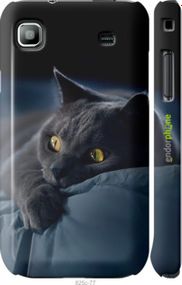 Чохол на Samsung Galaxy S i9000 Димчастий кіт "825m-77-2448"