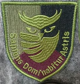 Шеврон разведка (Сова)