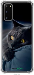 Чохол на Samsung Galaxy S20 Димчастий кіт "825sp-1824-2448"