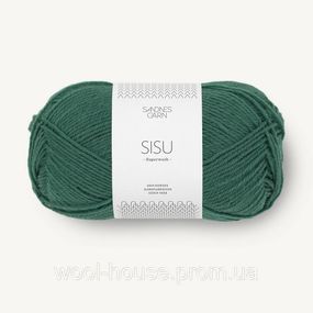 Шкарпеткова пряжа Sandnes Garn Sisu 50 г, 7562