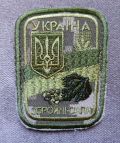 Шеврон Збройні сили України N17