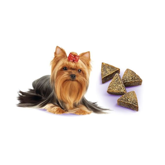 Ласощі Brit Care Mini Treats Liver Detox д/собак малих порід детокс печінки індичка смак чорниця 50 г | Зображення 1