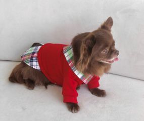 Толстовка з сорочкою червона Y-296