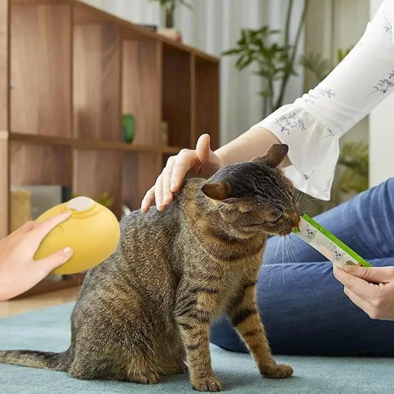 Щітка масажна для догляду за шерстю тварин 4 в 1 ПАРОВА Pet comb | Зображення 2