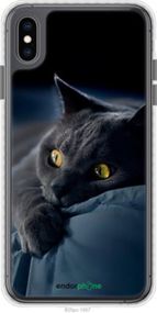 Чохол на iPhone XS Max Димчастий кіт "825pc-1557-2448"