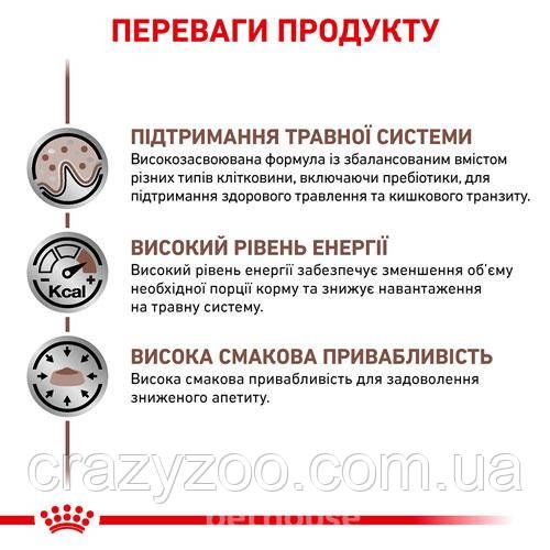 Вологий корм для собак Royal Canin Gastro Intestinal Loaf 400 г 40380041 | Зображення 1