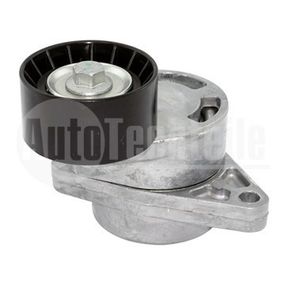 Натяжитель ремня Renault Master 00-/ Trafic 01-/ Laguna 01-07/ Espace 06-/ Opel Movano 01-/Vivaro 01-14/  2.2/2.5dCi,