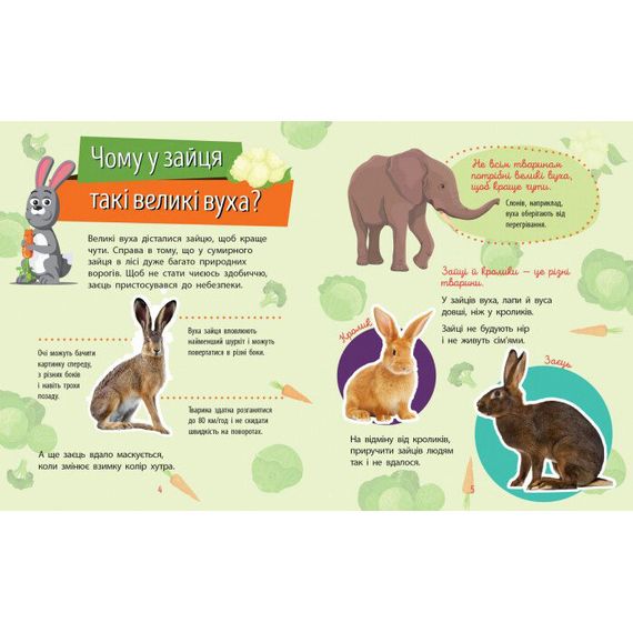 Навчальна книжка Чомусики "Тварини" 875008 запитання та відповіді | Зображення 3