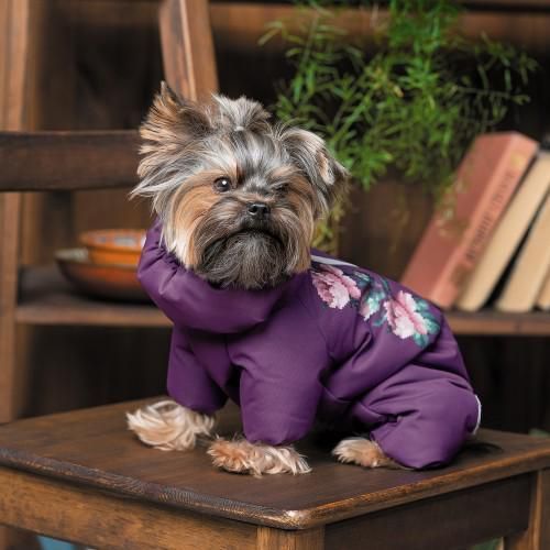Костюм Pet Fashion Lola для дівчаток, розмір S2, бузковий | Зображення 4