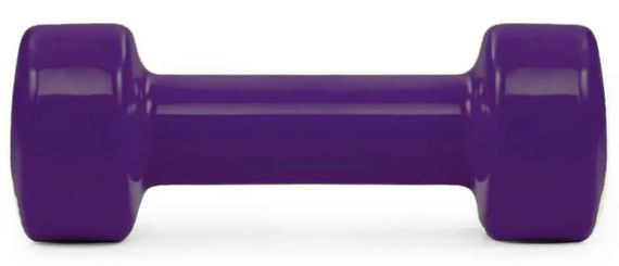 Гантелі вінілові PowerPlay 4125 Achilles 2*2.5 кг Фіолетові 2 шт + Гумка для фітнесу 7,5 кг (PP_4125_2.5kg_2in) | Зображення 1